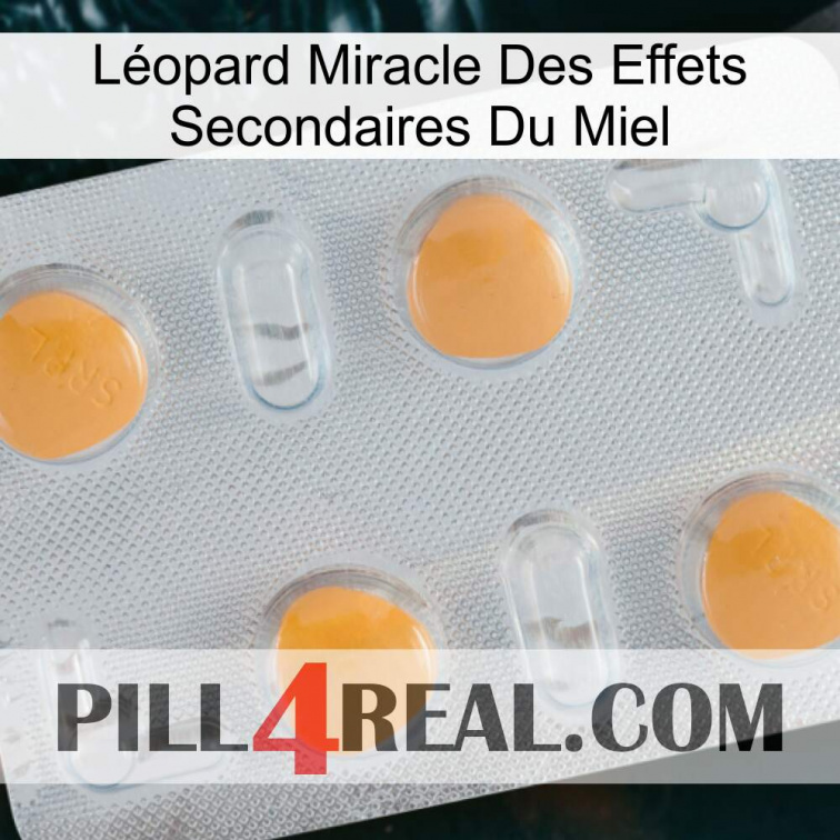 Léopard Miracle Des Effets Secondaires Du Miel 24